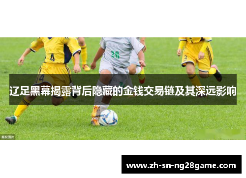 辽足黑幕揭露背后隐藏的金钱交易链及其深远影响