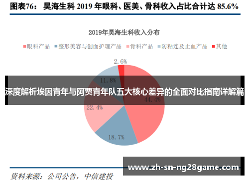 深度解析埃因青年与阿贾青年队五大核心差异的全面对比指南详解篇 深度解析埃因青年与阿贾青年队五大核心差异的全面对比指南详解篇