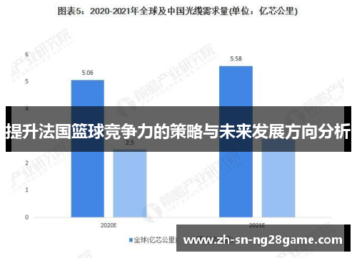 提升法国篮球竞争力的策略与未来发展方向分析 提升法国篮球竞争力的策略与未来发展方向分析