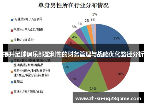 提升足球俱乐部盈利性的财务管理与战略优化路径分析 提升足球俱乐部盈利性的财务管理与战略优化路径分析