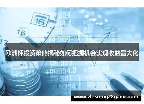 欧洲杯投资策略揭秘如何把握机会实现收益最大化